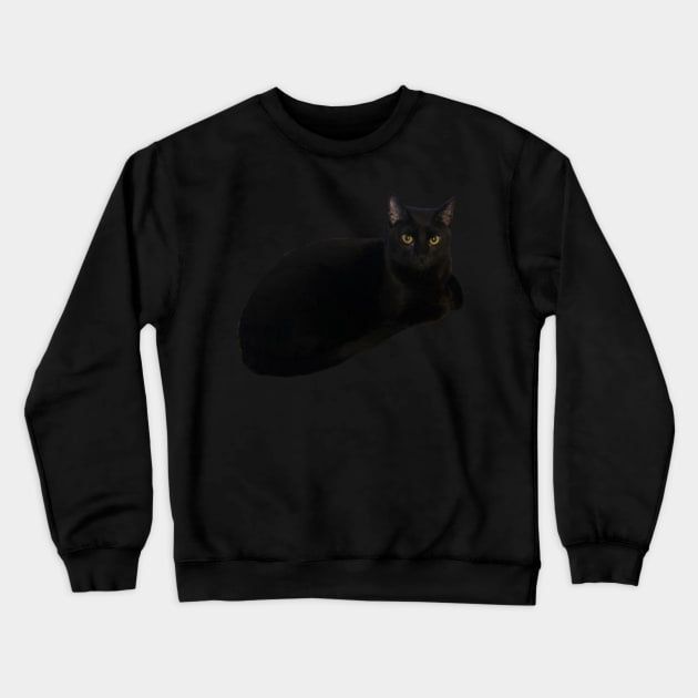 Black Cat Loaf Crewneck Sweatshirt by whizz0